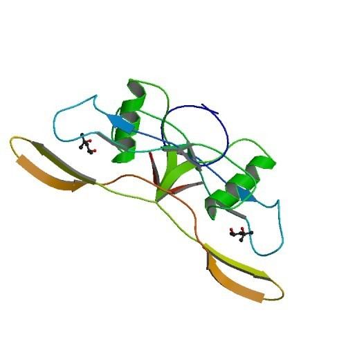 Bone morphogenetic protein 2 RCSB PDB 3BMP HUMAN BONE MORPHOGENETIC PROTEIN2 BMP2