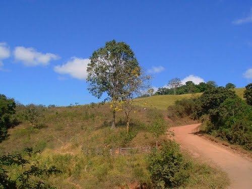 Bonfim, Minas Gerais brdistanciacidadescomfotos24221810jpg