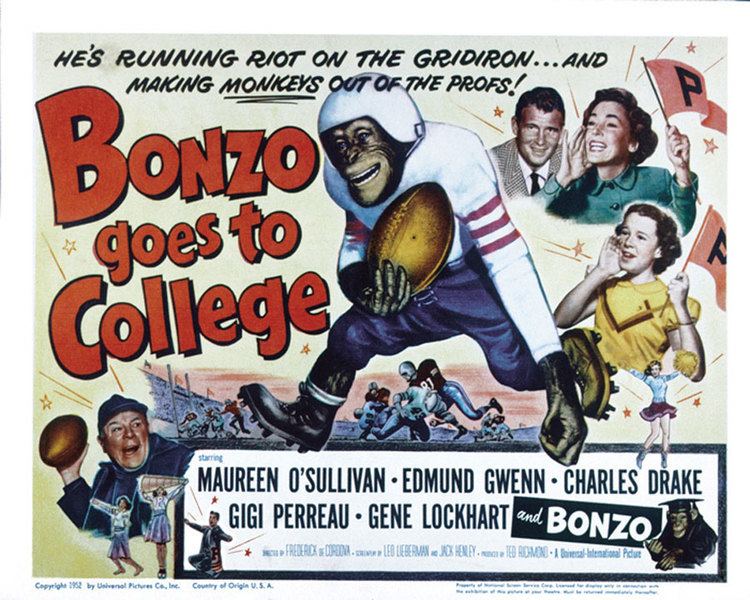 Bonzo Goes to College Bonzo Goes To College movie posters at movie poster warehouse