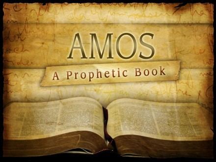 Book of Amos httpssmediacacheak0pinimgcomoriginals21