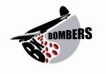 Bordeaux Bombers httpsuploadwikimediaorgwikipediaenaacBxb