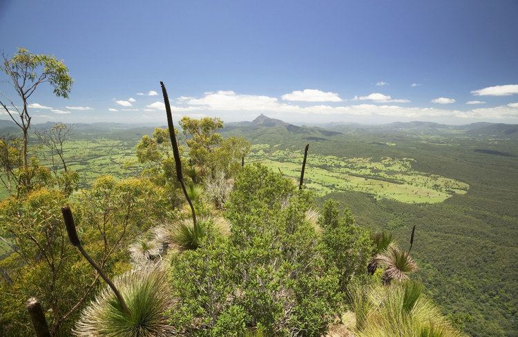 Border Ranges National Park wwwnationalparksnswgovaumediaC71EC45176764