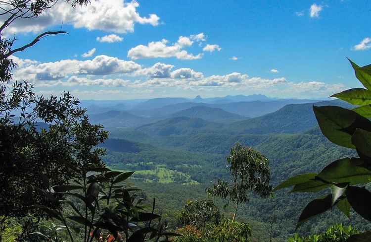 Border Ranges National Park Bar Mountain lookout NSW National Parks