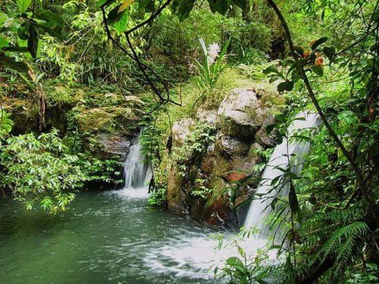 Border Ranges National Park Border Ranges National Park New South Wales Australia Top Tips