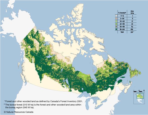 Boreal forest of Canada Hinterland Who39s Who Boreal Forest