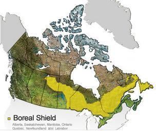 Boreal Shield Ecozone (CEC) mrnagribiankoecozones 3 Boreal Shield