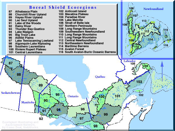 Boreal Shield Ecozone (CEC) Boreal Shield Ecozone