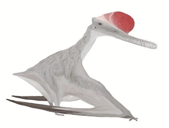 Boreopterus imagesdinosaurpicturesorgBoreopterus127djpg