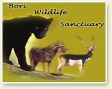 Bori Wildlife Sanctuary wwwindianwildlifecomimagesborijpg