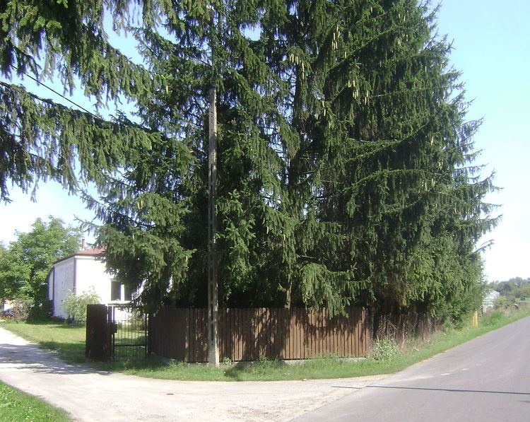 Borki, Piaseczno County