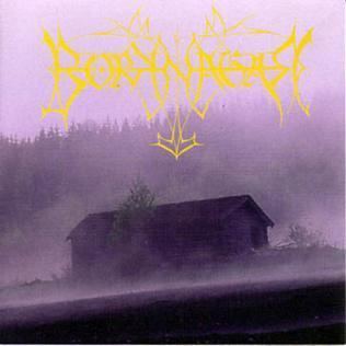 Borknagar (album) httpsuploadwikimediaorgwikipediaendd3Bor