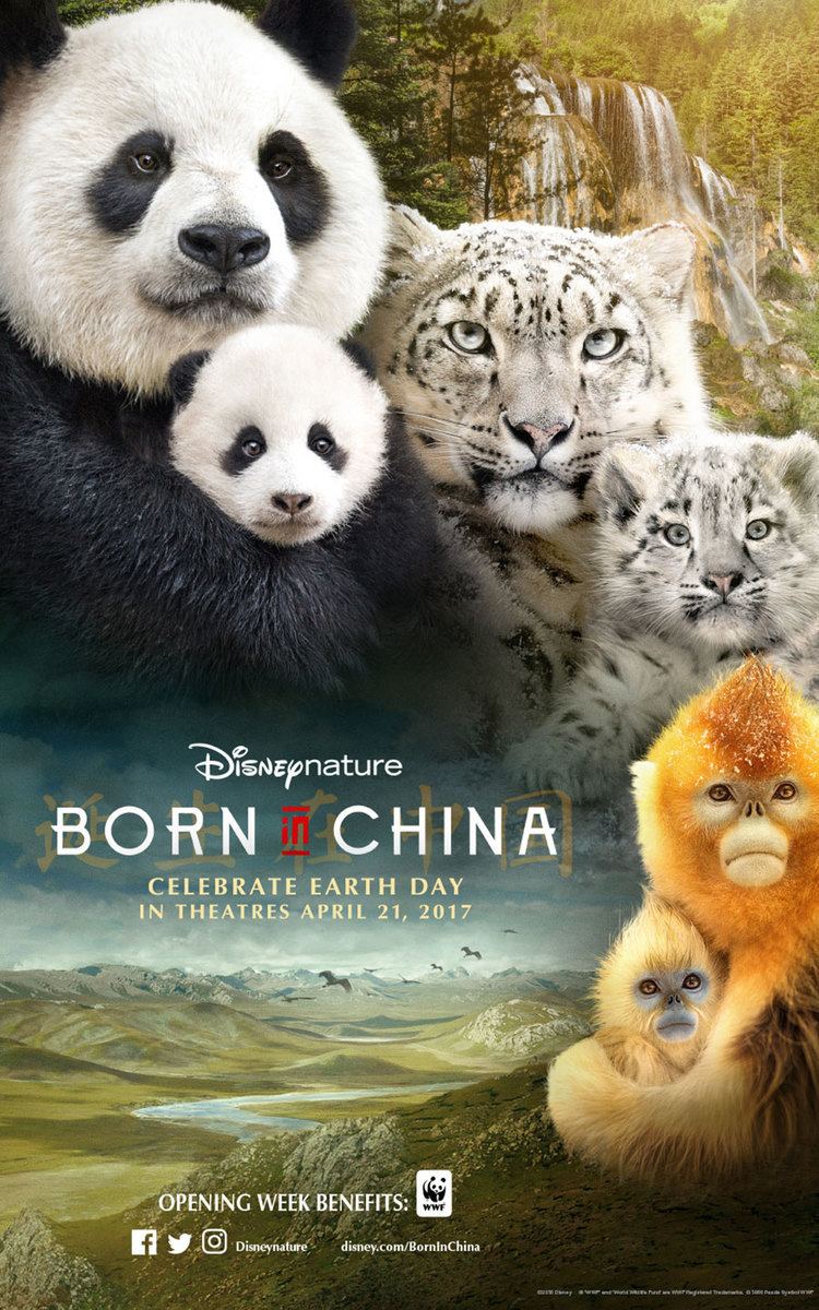 Born in China Learn About the Cast of Disneynature 39Born in China39 Disney Parks Blog