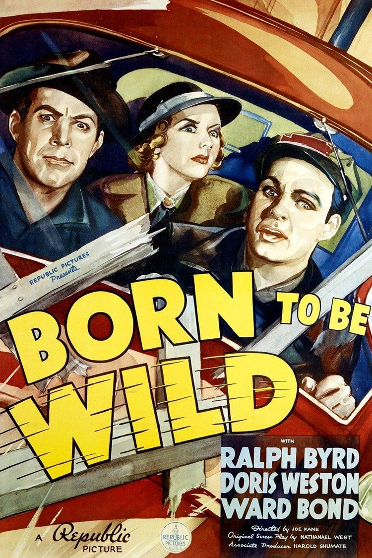 Born to Be Wild (1938 film) wwwgstaticcomtvthumbmovieposters44117p44117
