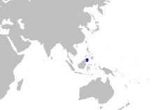 Borneo river shark httpsuploadwikimediaorgwikipediacommonsthu