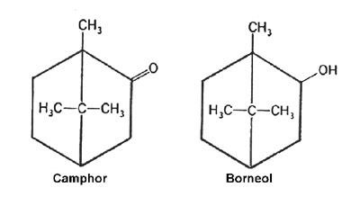 Borneol Borneol Artemesia and Moxa