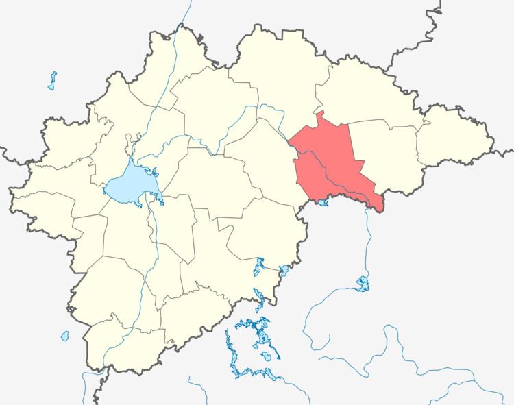 Borovichsky District