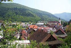 Borovnica, Borovnica httpsuploadwikimediaorgwikipediacommonsthu