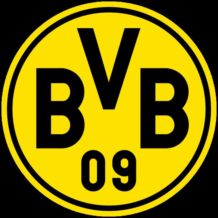 Borussia Dortmund Youth Sector