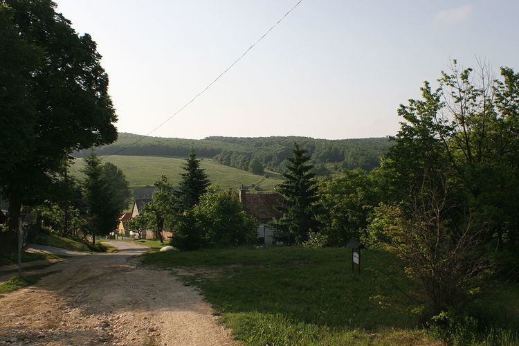 Borzavár