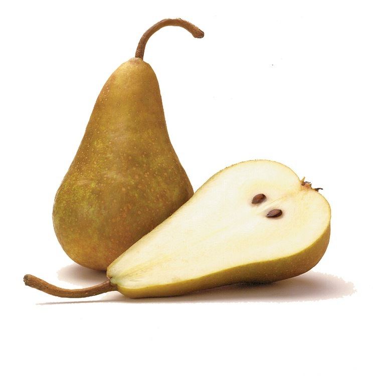 Bosc pear - Wikipedia