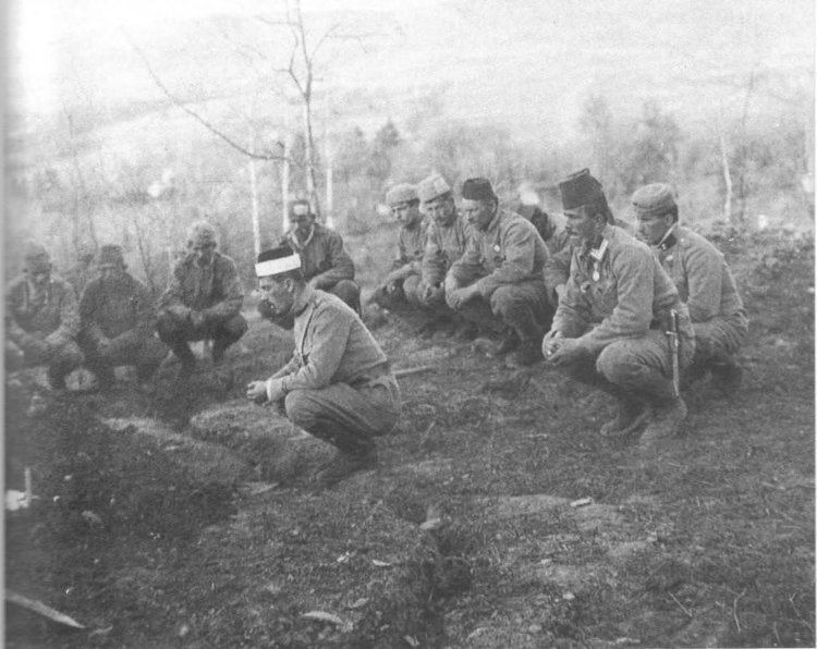Bosnian-Herzegovinian Infantry