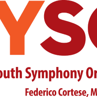 Boston Youth Symphony Orchestras Boston Youth Symphony Orchestras LinkedIn