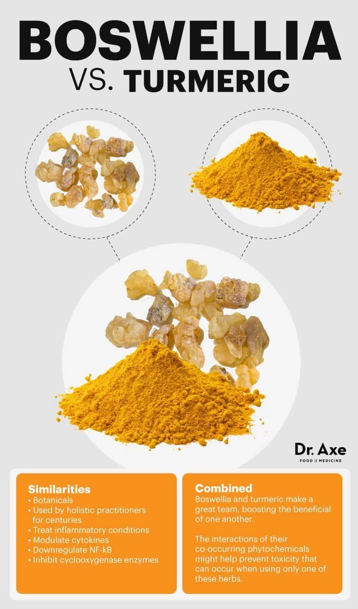 Boswellia Boswellia Seratta Is It the Best Natural Cancer Fighter Dr Axe