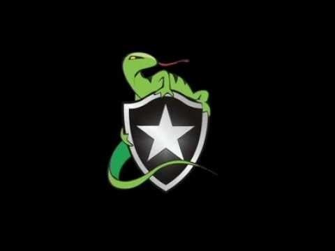 Botafogo Reptiles TRYOUT Botafogo Reptiles em breve YouTube