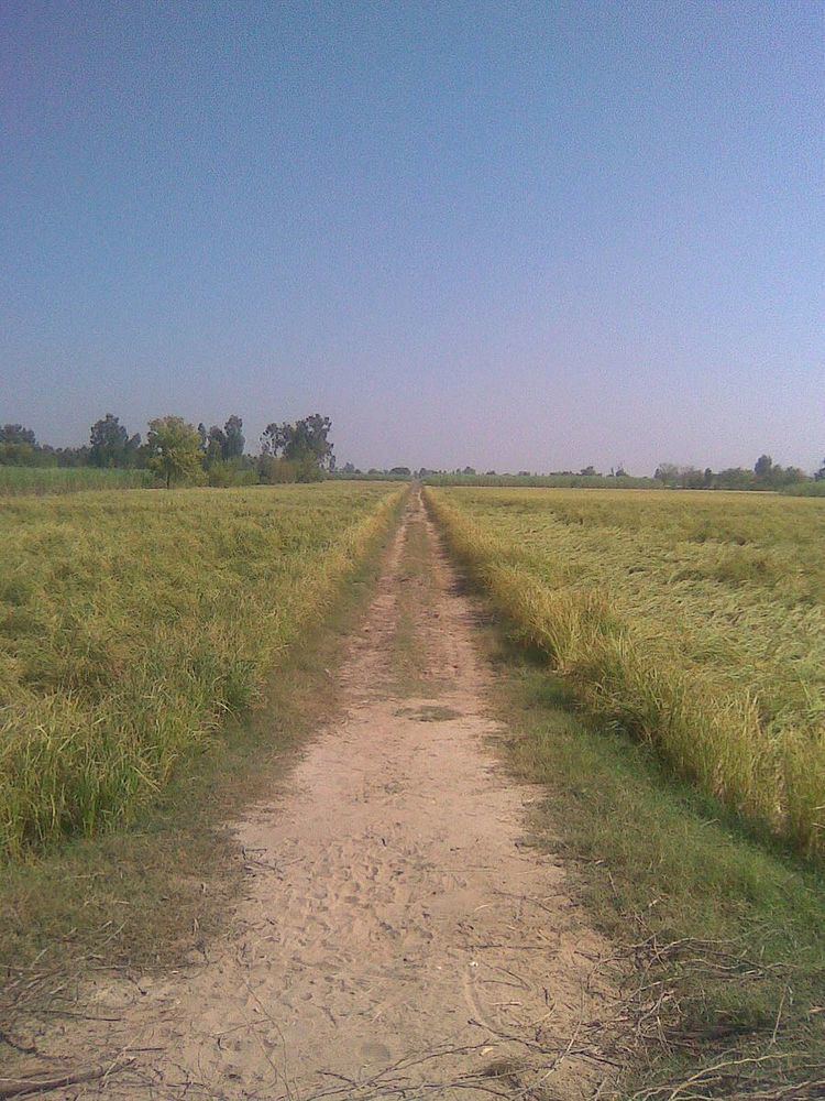 Botala