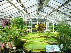 Botanical garden httpsuploadwikimediaorgwikipediacommonsthu