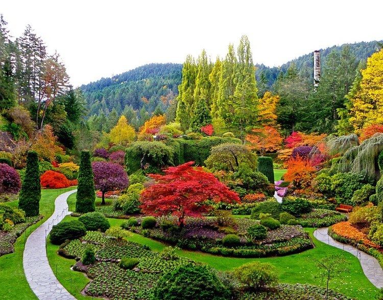Botanical garden Botanical Gardens place to visit there is very beautiful Ooty Visit