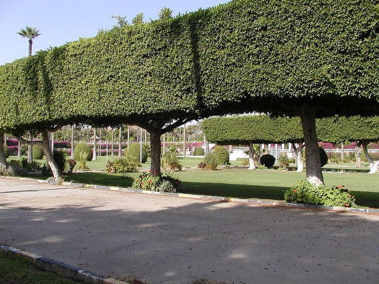 Botanical gardens in Egypt