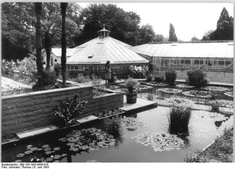 Botanische Garten der Martin-Luther-Universität Halle-Wittenberg