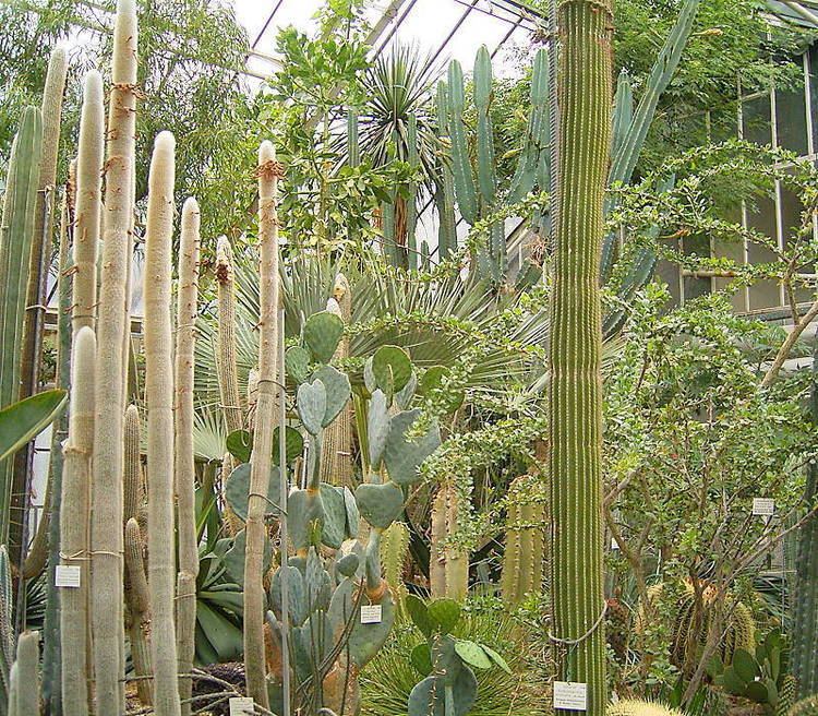 Botanischer Garten der Universität Heidelberg