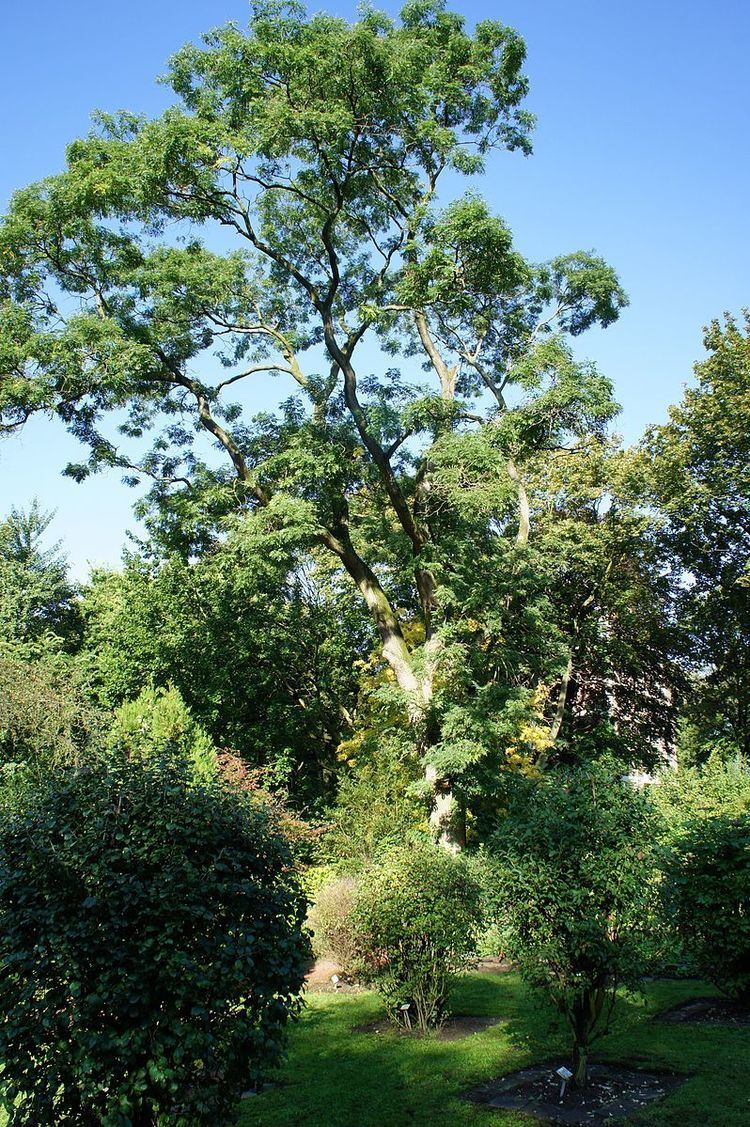 Botanischer Garten Kaiserberg