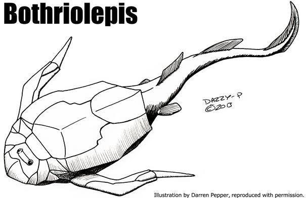 Bothriolepis Bothriolepis