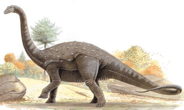 Bothriospondylus 15 Biggest Dinosaurs That Ever Walked This Earth InfoBarrel