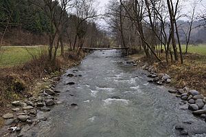 Botiza (river) httpsuploadwikimediaorgwikipediacommonsthu