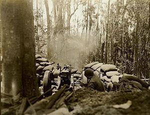 Bougainville counterattack httpsuploadwikimediaorgwikipediacommonsthu