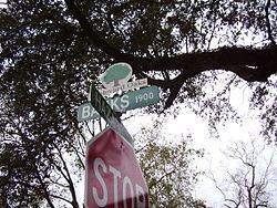 Boulevard Oaks, Houston httpsuploadwikimediaorgwikipediacommonsthu