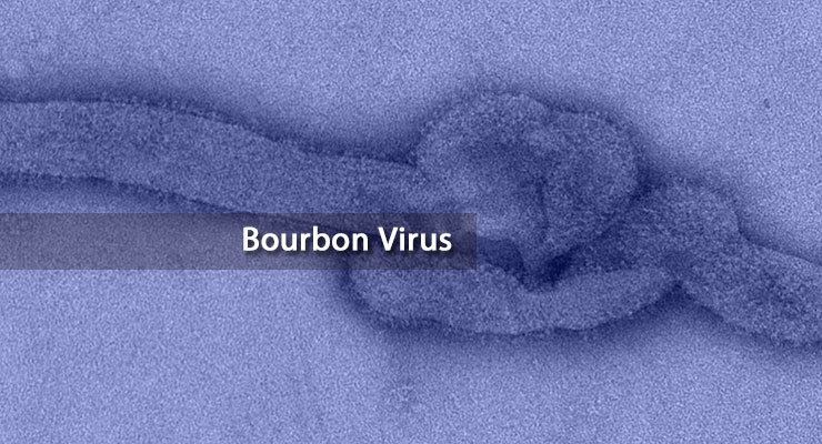 Bourbon virus Bourbon Virus Novel Thogotovirus Identified in Kansas