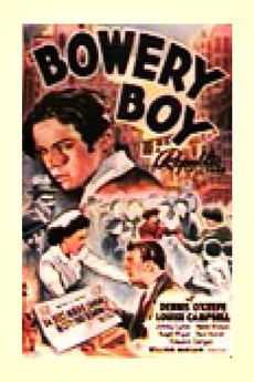 Bowery Boy httpsaltrbxdcomresizedfilmposter17518