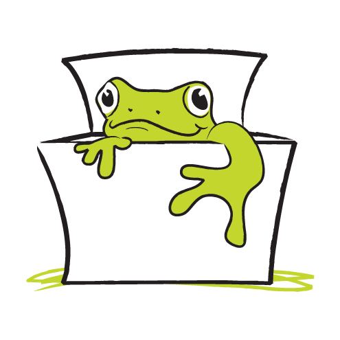 Box of Frogs Box Of Frogs Boxoffrogsltd Twitter