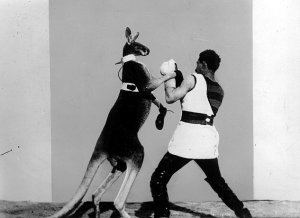 Boxing Kangaroo (film) wwwfilmportaldesitesdefaultfilesimagecachem