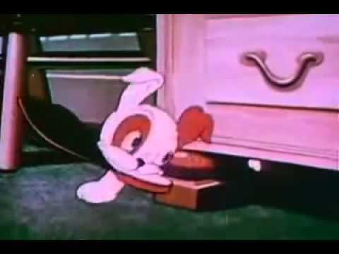 Boy Meets Dog Boy Meets Dog 1938 Walter Lantz YouTube