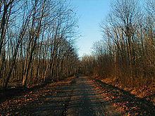 Boy Scout Lane httpsuploadwikimediaorgwikipediacommonsthu