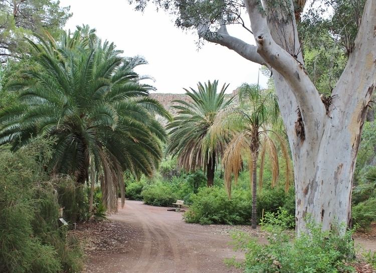 Boyce Thompson Arboretum State Park - Alchetron, the free social ...