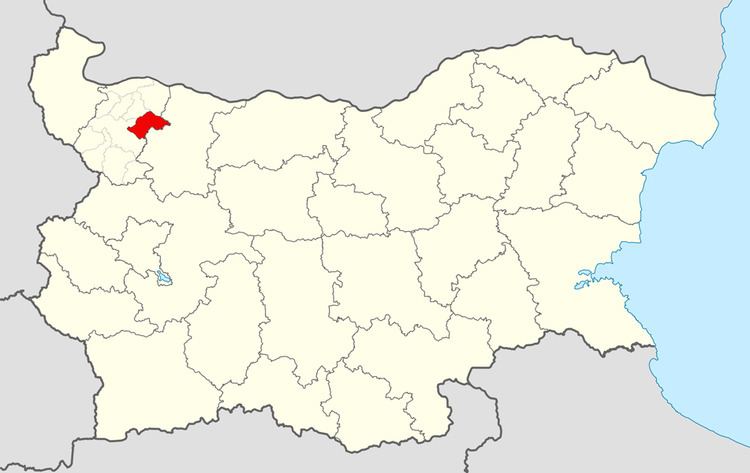 Boychinovtsi Municipality