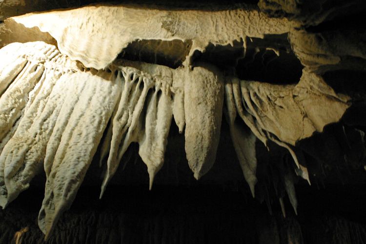 Boyden Cave httpsuploadwikimediaorgwikipediacommons00