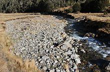 Boyle River (New Zealand) httpsuploadwikimediaorgwikipediacommonsthu